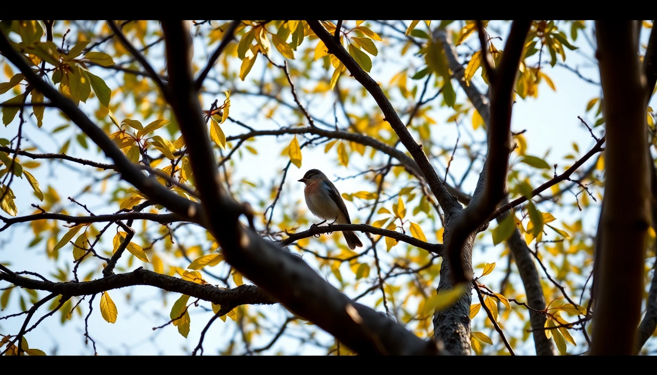 a bird in the tree